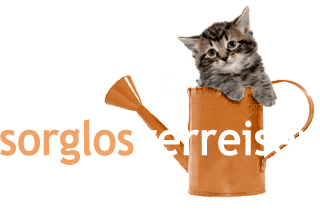 Sorglos verreisen: Hanna's Haus- und Tierbetreuung in Aarau